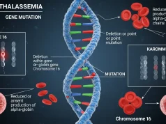 Alpha Thalassemia Gene Mutation: A Complete Genetic Guide Alpha Thalassemia Gene Mutation